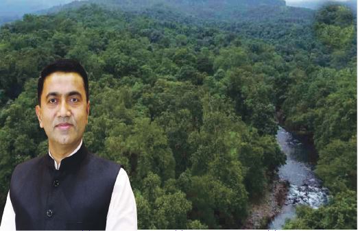 CM WANTS TO KILL FORESTS…