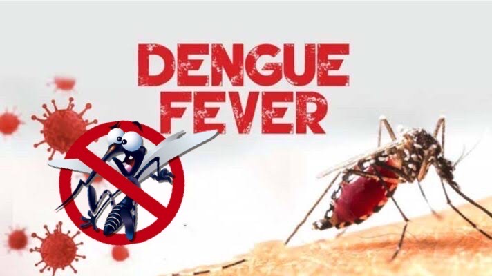 FIGHT MOSQUITOES TO FIGHT DENGUE!