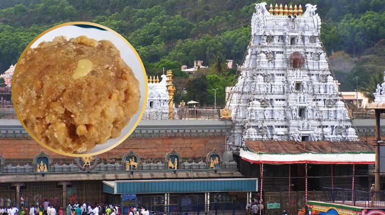 TTD BACKS NAIDU’S ‘ANIMAL FAT’ IN TIRUPATI LADDUS!