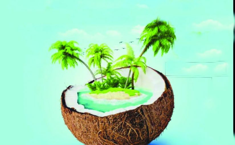 IN PRAISE OF THE COCONUT TREE!